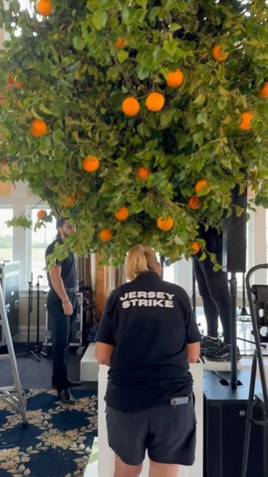 Jersey Strike crew member installing an orange tree for Wile Events