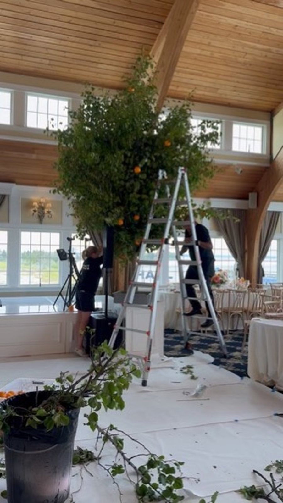 Crew on ladders building a fruiting orange tree installation